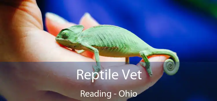 Reptile Vet Reading - Ohio