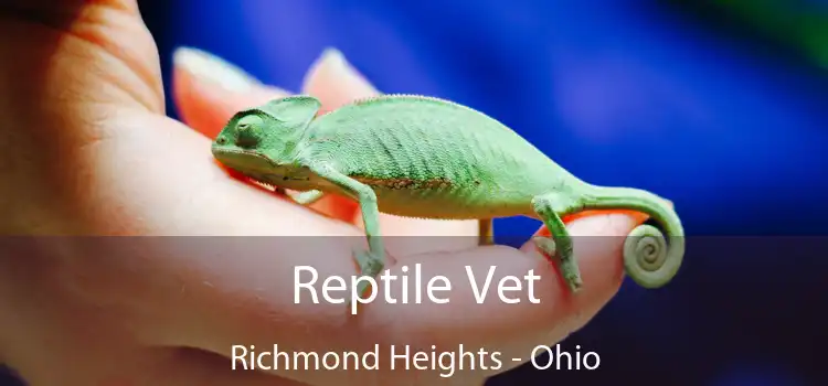 Reptile Vet Richmond Heights - Ohio