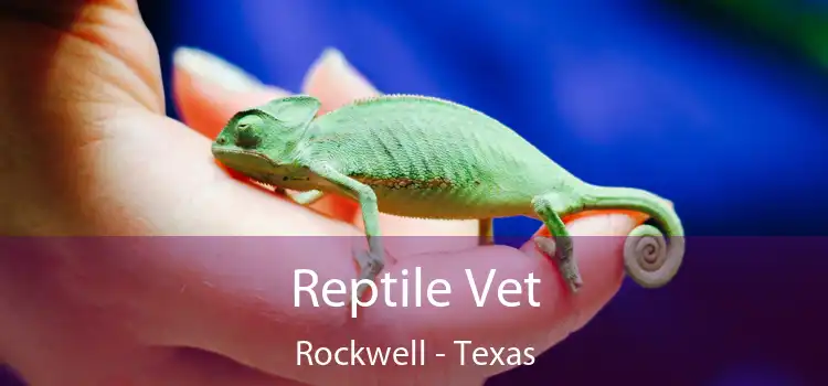 Reptile Vet Rockwell - Texas