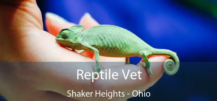 Reptile Vet Shaker Heights - Ohio