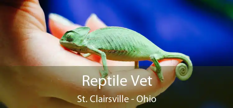 Reptile Vet St. Clairsville - Ohio