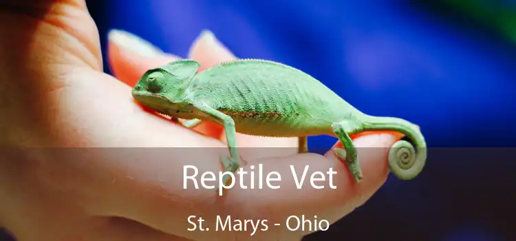 Reptile Vet St. Marys - Ohio