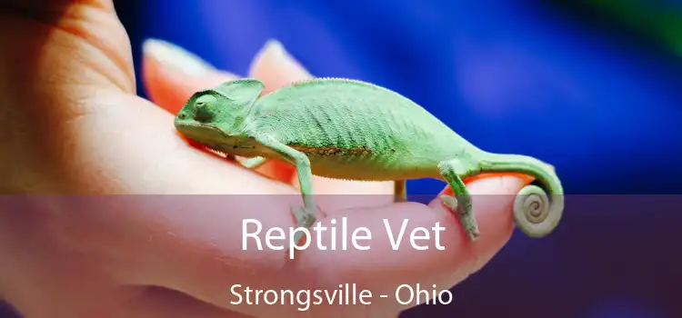 Reptile Vet Strongsville - Ohio