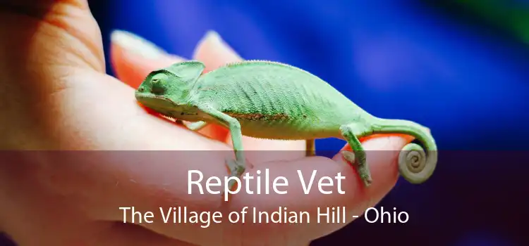 Reptile Vet The Village of Indian Hill - Ohio