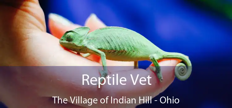 Reptile Vet The Village of Indian Hill - Ohio