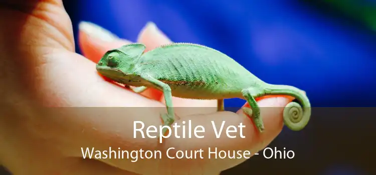 Reptile Vet Washington Court House - Ohio