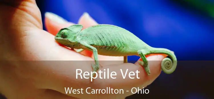 Reptile Vet West Carrollton - Ohio