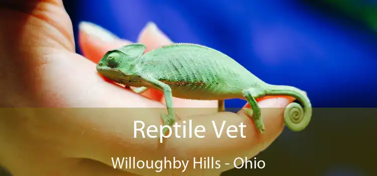 Reptile Vet Willoughby Hills - Ohio