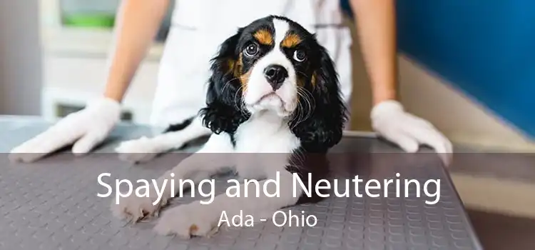 Spaying and Neutering Ada - Ohio