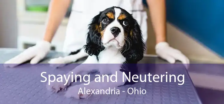 Spaying and Neutering Alexandria - Ohio