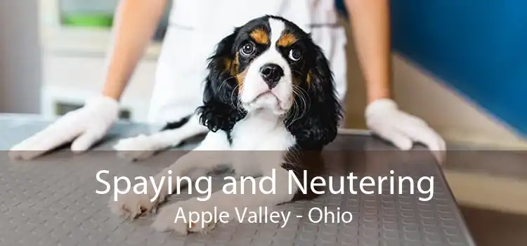 Spaying and Neutering Apple Valley - Ohio
