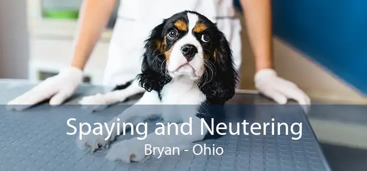 Spaying and Neutering Bryan - Ohio
