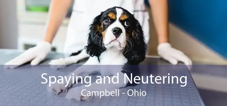 Spaying and Neutering Campbell - Ohio