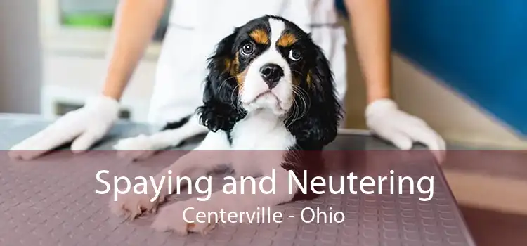 Spaying and Neutering Centerville - Ohio