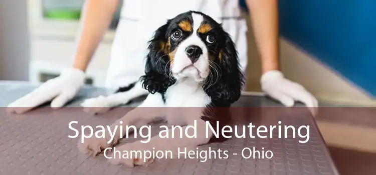 Spaying and Neutering Champion Heights - Ohio