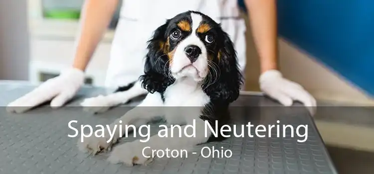 Spaying and Neutering Croton - Ohio