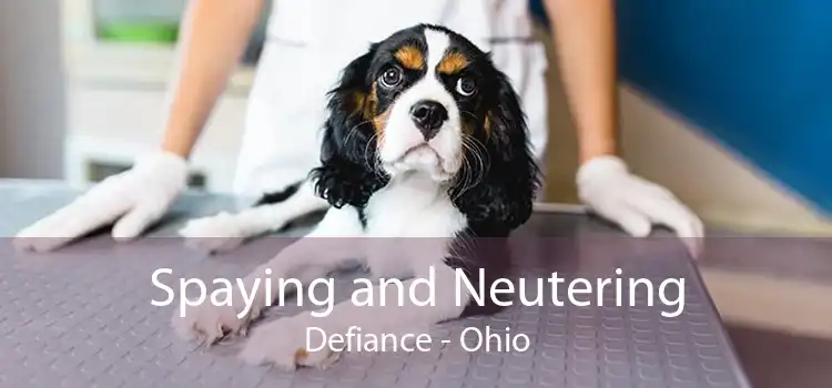 Spaying and Neutering Defiance - Ohio