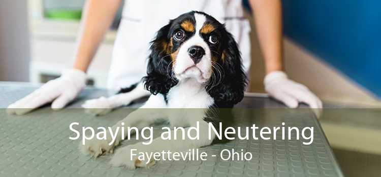 Spaying and Neutering Fayetteville - Ohio