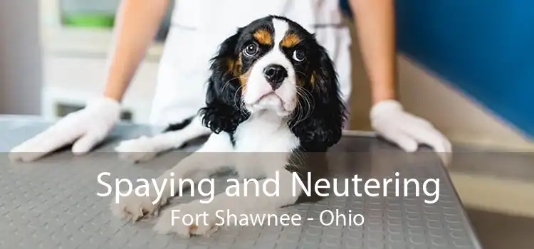 Spaying and Neutering Fort Shawnee - Ohio