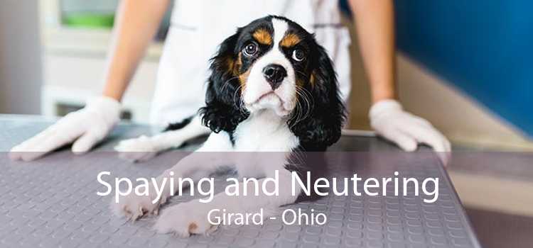 Spaying and Neutering Girard - Ohio