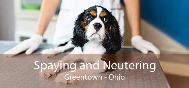 Spaying and Neutering Greentown - Ohio