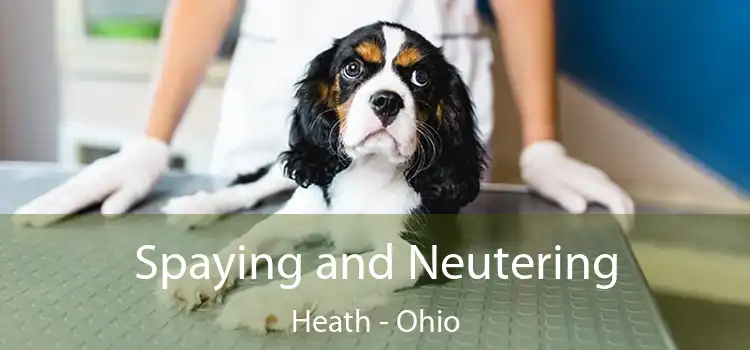 Spaying and Neutering Heath - Ohio