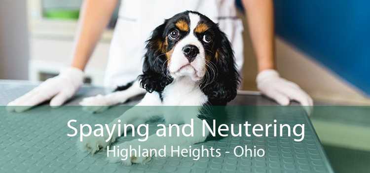 Spaying and Neutering Highland Heights - Ohio