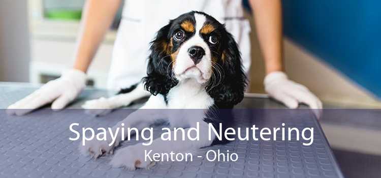 Spaying and Neutering Kenton - Ohio