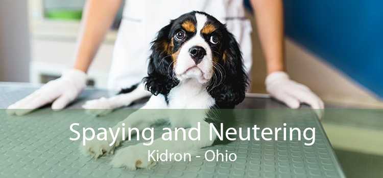 Spaying and Neutering Kidron - Ohio