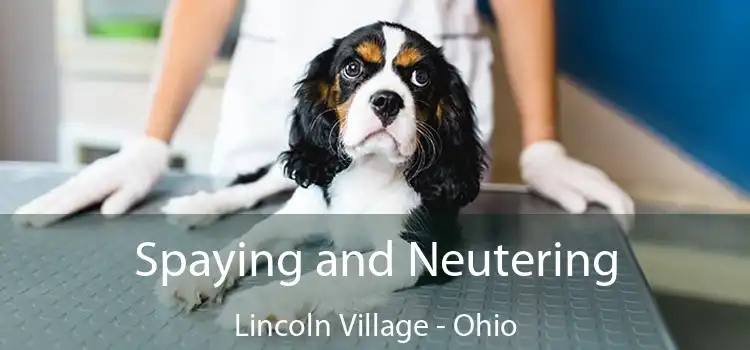 Spaying and Neutering Lincoln Village - Ohio