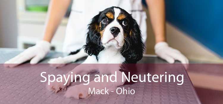 Spaying and Neutering Mack - Ohio