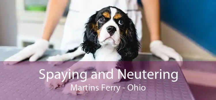 Spaying and Neutering Martins Ferry - Ohio