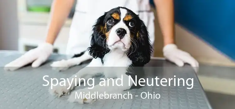 Spaying and Neutering Middlebranch - Ohio