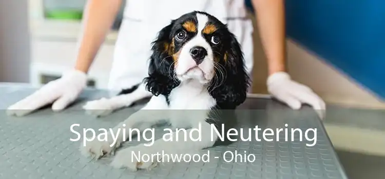 Spaying and Neutering Northwood - Ohio
