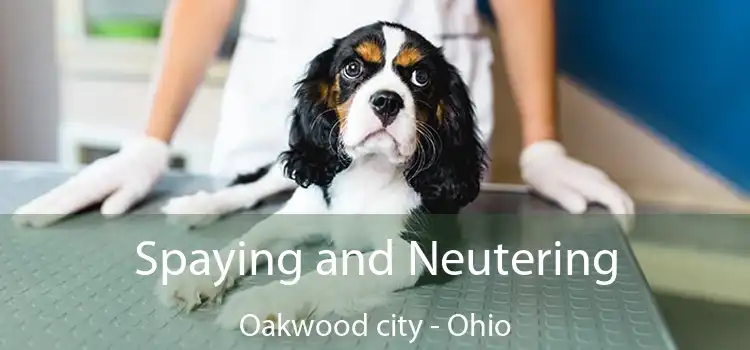 Spaying and Neutering Oakwood city - Ohio