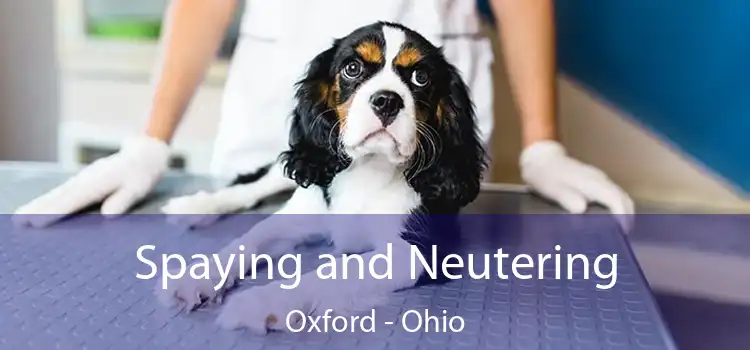 Spaying and Neutering Oxford - Ohio