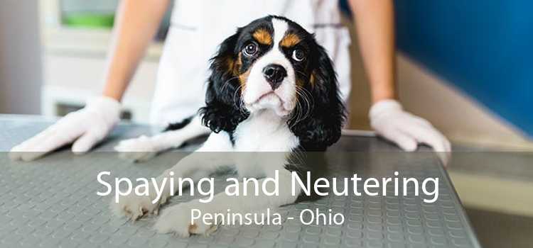 Spaying and Neutering Peninsula - Ohio