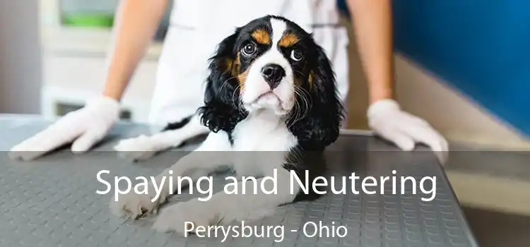 Spaying and Neutering Perrysburg - Ohio