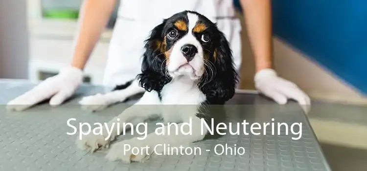 Spaying and Neutering Port Clinton - Ohio