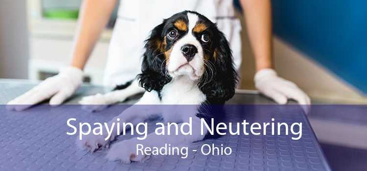 Spaying and Neutering Reading - Ohio