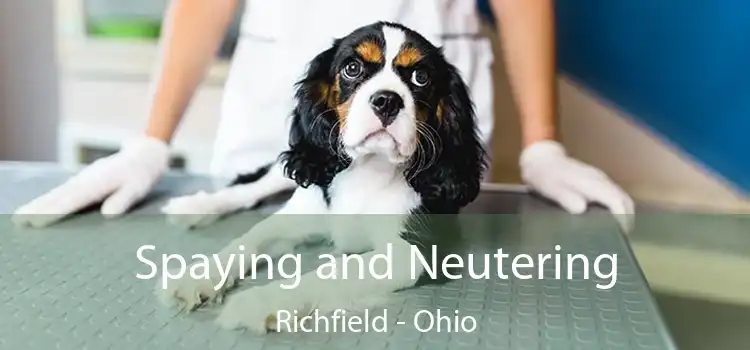 Spaying and Neutering Richfield - Ohio