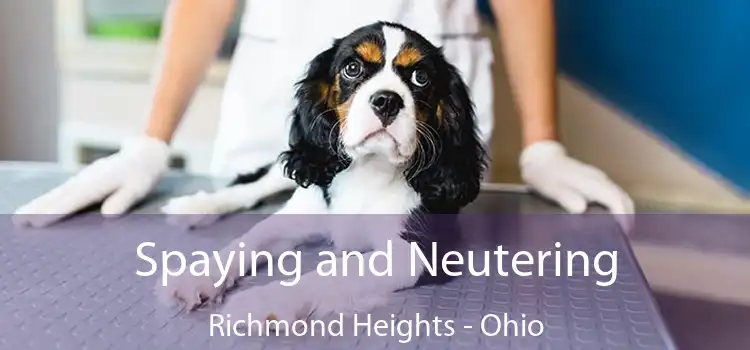 Spaying and Neutering Richmond Heights - Ohio