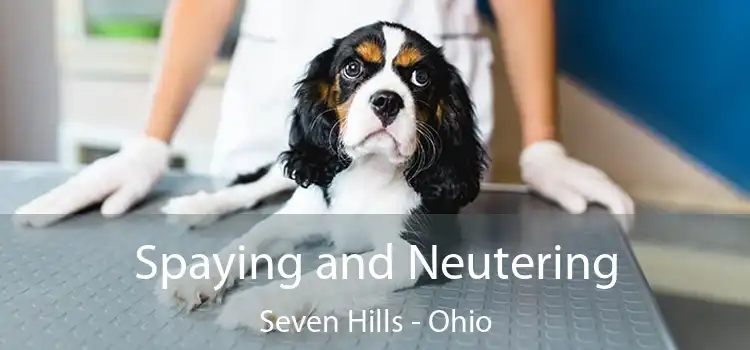 Spaying and Neutering Seven Hills - Ohio