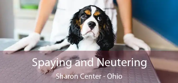 Spaying and Neutering Sharon Center - Ohio