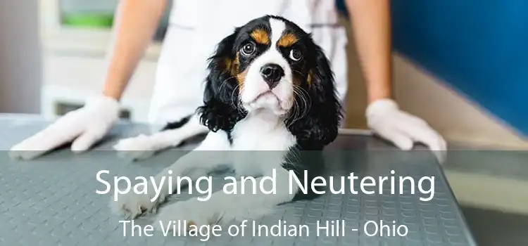 Spaying and Neutering The Village of Indian Hill - Ohio