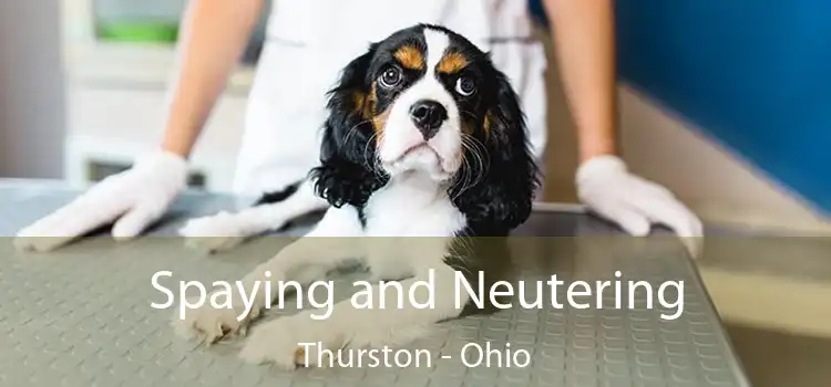 Spaying and Neutering Thurston - Ohio