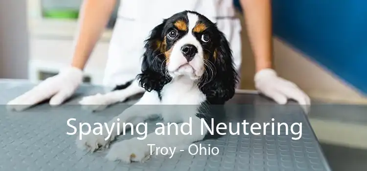 Spaying and Neutering Troy - Ohio