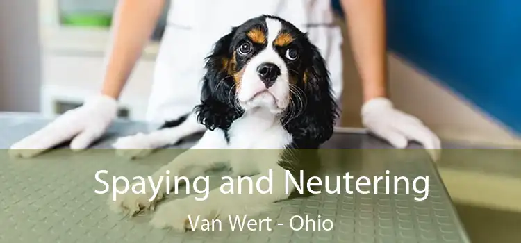 Spaying and Neutering Van Wert - Ohio