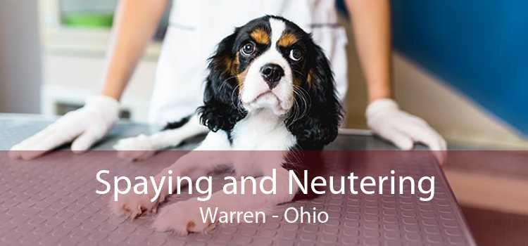 Spaying and Neutering Warren - Ohio
