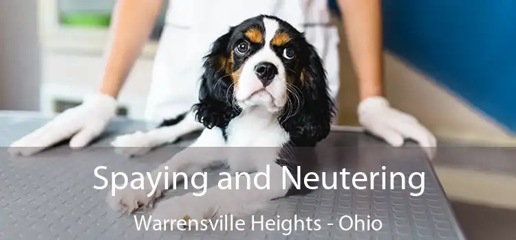 Spaying and Neutering Warrensville Heights - Ohio